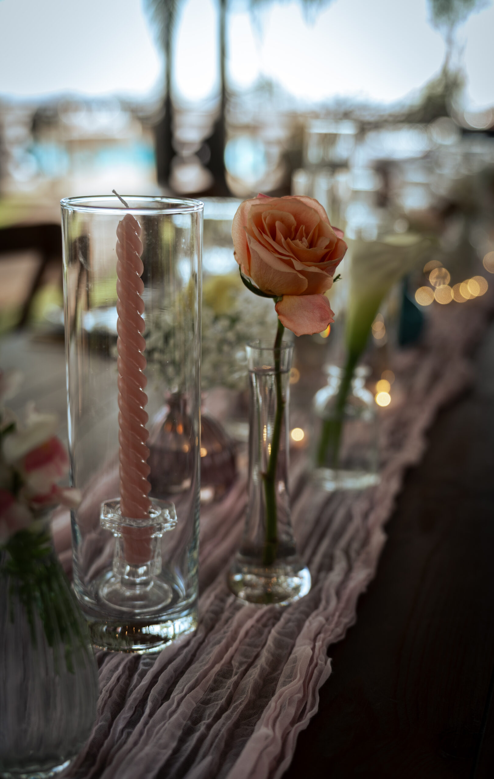 Reportage Évènement